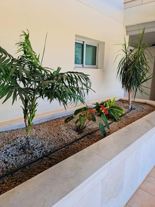 Homely Apt In Modern Building With Pool San Miguel de Abona Ngoại thất bức ảnh